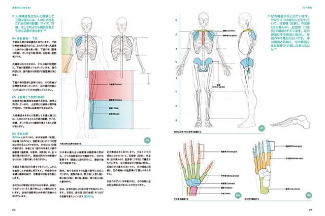 3Dアーティストのための人体解剖学 – Anatomy for 3D Artists 日本語版