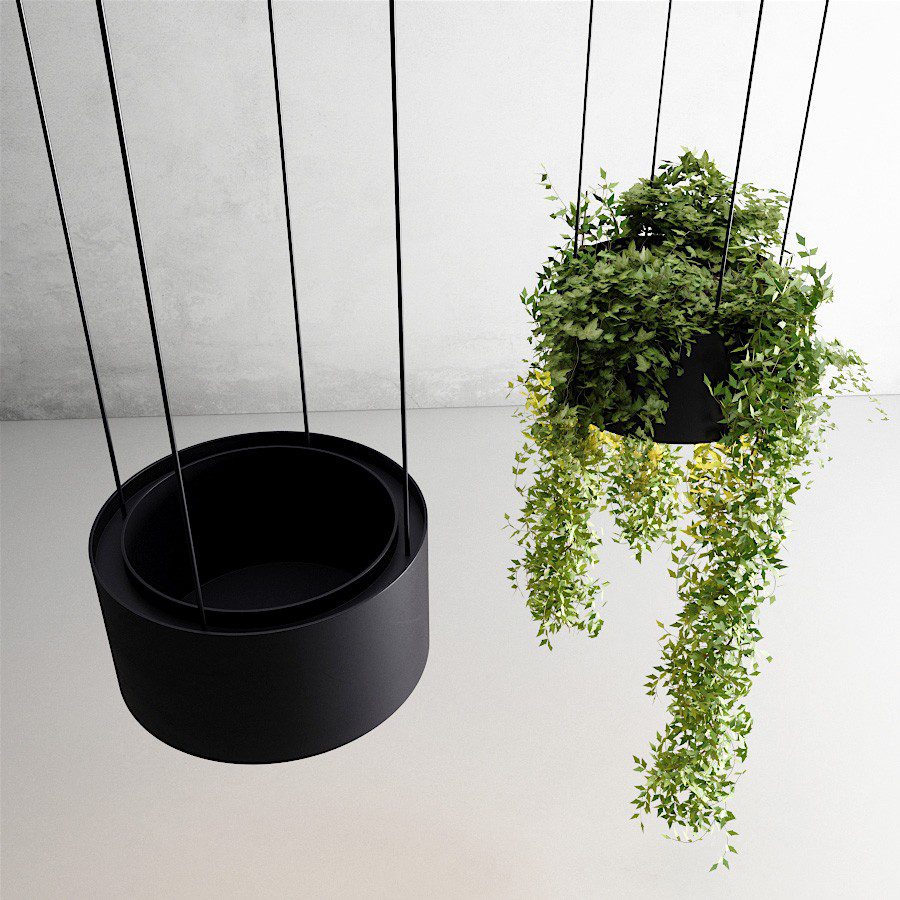 3d Plant Model 185 Free Download