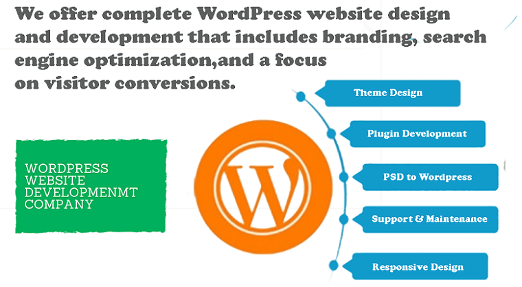 Wordpress · ease of use · winner: Why Wordpress Is The Best Cms For Seo 3infoweb