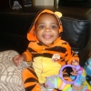 Tiger Ozi
