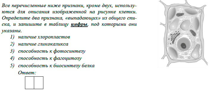 Все перечисленные ниже признаки кроме двух используются для описания изображенной на рисунке