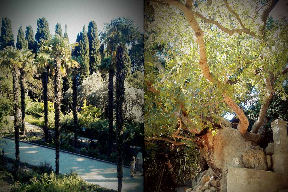 Троллейбусы 11, 12 от остановки ул. Nikitskij Botanicheskij Sad Kak Dobratsya