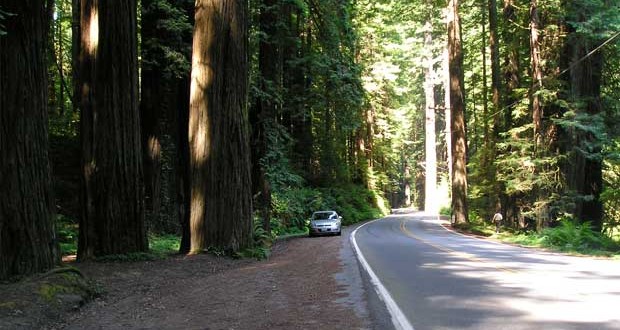 Here are some tips for your complete guide to thanksgiving. Camping Humboldt Redwoods State Park in California - 50