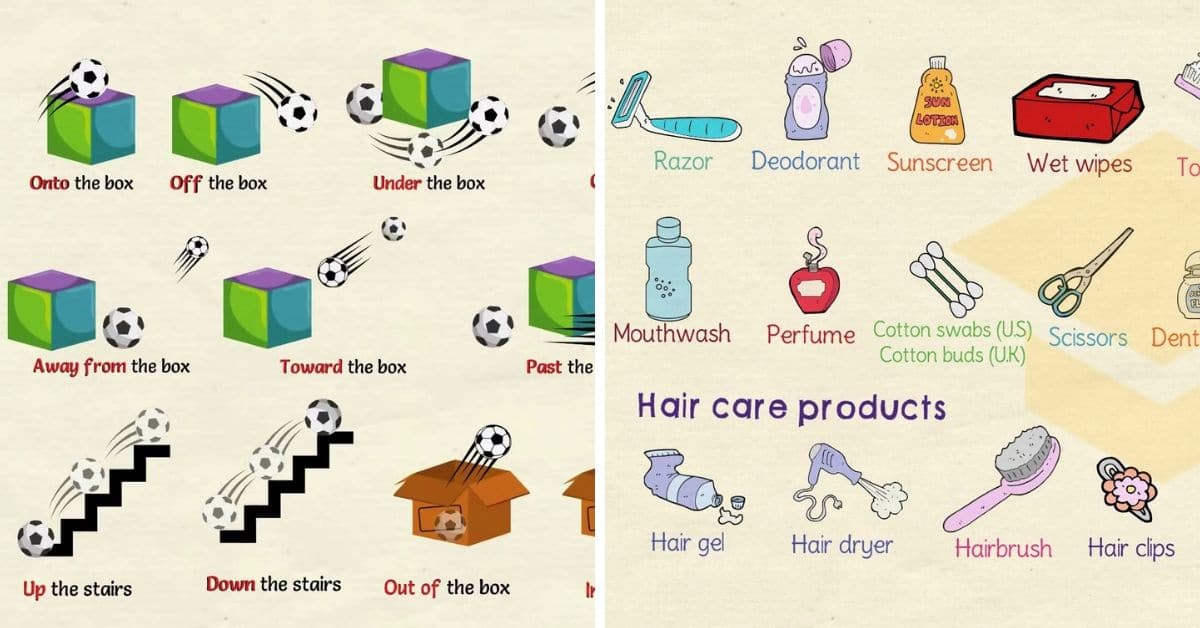 A drawing, painting, or photograph, a printed copy of any of these: Picture Dictionary English Visual Dictionary 150 Useful Topics 7esl