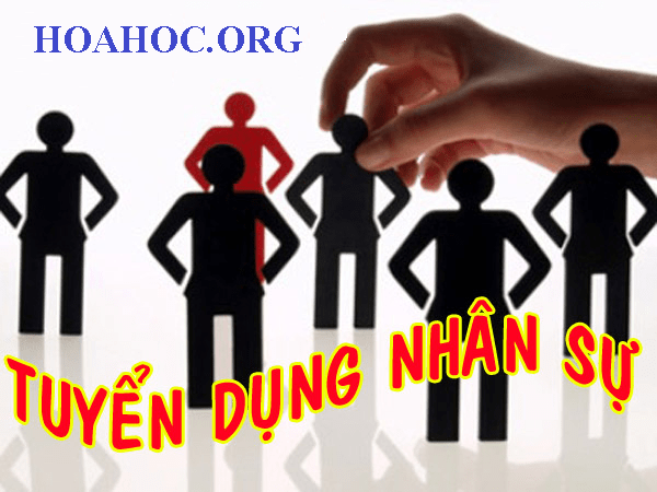 Tuyển dụng - Tái cơ cấu nhân sự