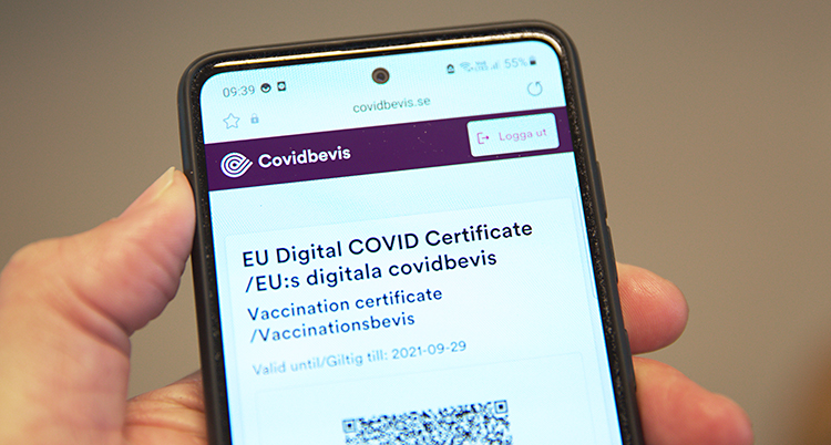 Kan jag hämta ett covidbevis om jag saknar ett svenskt personnummer? 8 Sidor Sa Fixar Du Bevis For Vaccin