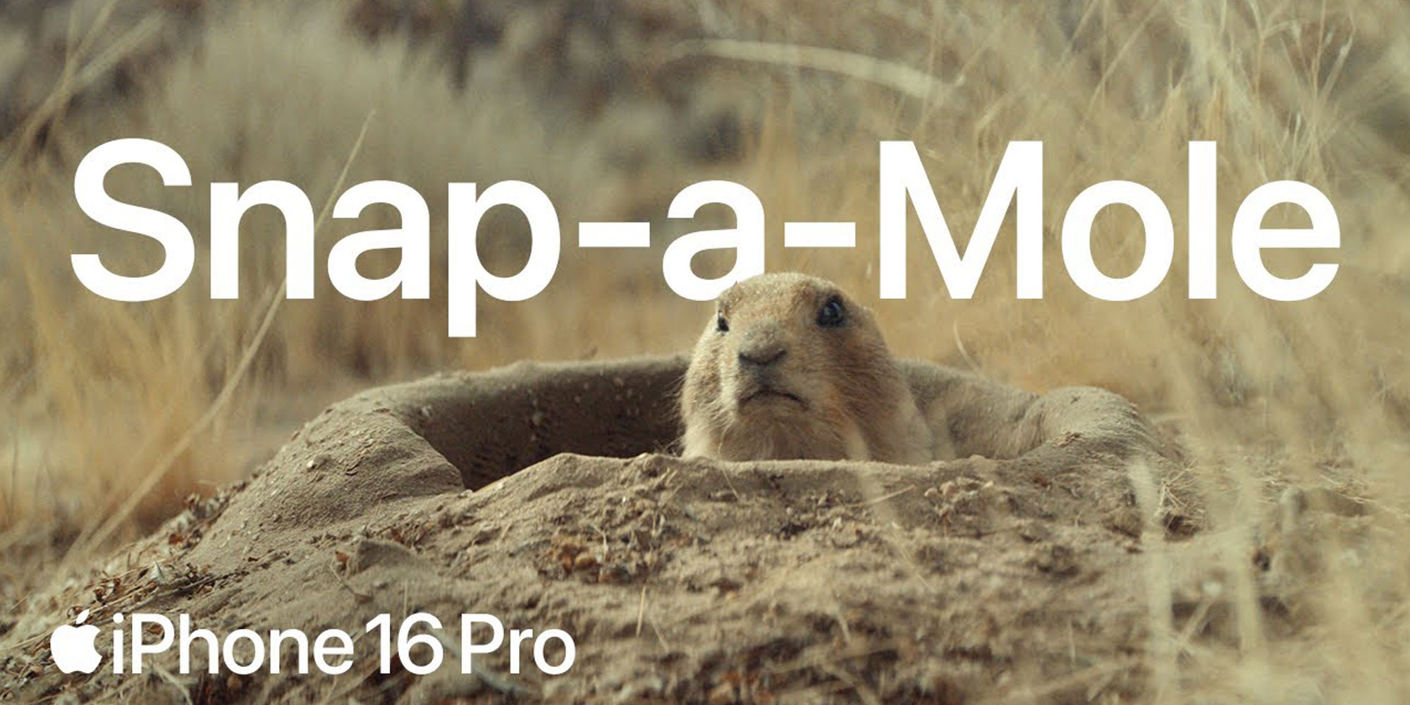 Fun new Apple ad highlights the iPhone’s Camera Control features [Poll]