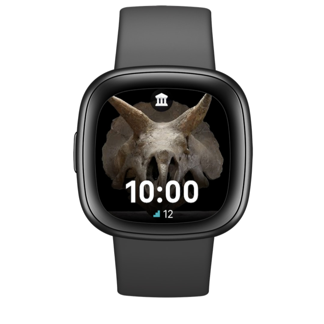 Google Arts Fitbit watch face