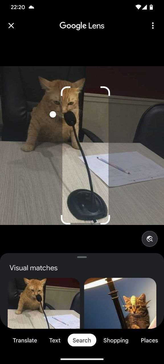 Google Lens Image Search