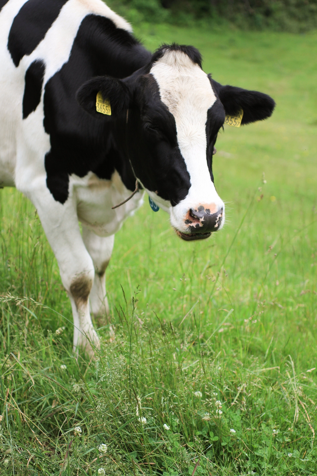 100 Epic Best子供 牛乳 いつから かわいい子供たちの画像