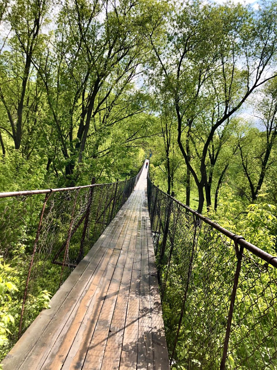 Программа «моя машина» посетила лебедянский район. O Tom Kak My Puteshestvovali Po Lipeckoj Oblasti Chast 1 Hyundai Solaris 1 6 L 2018 Goda Na Drive2