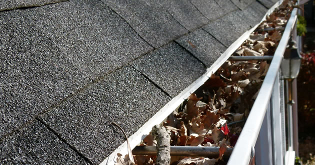 All pro cleaning & restoration services. Gutter Cleaning Services In Upstate New York