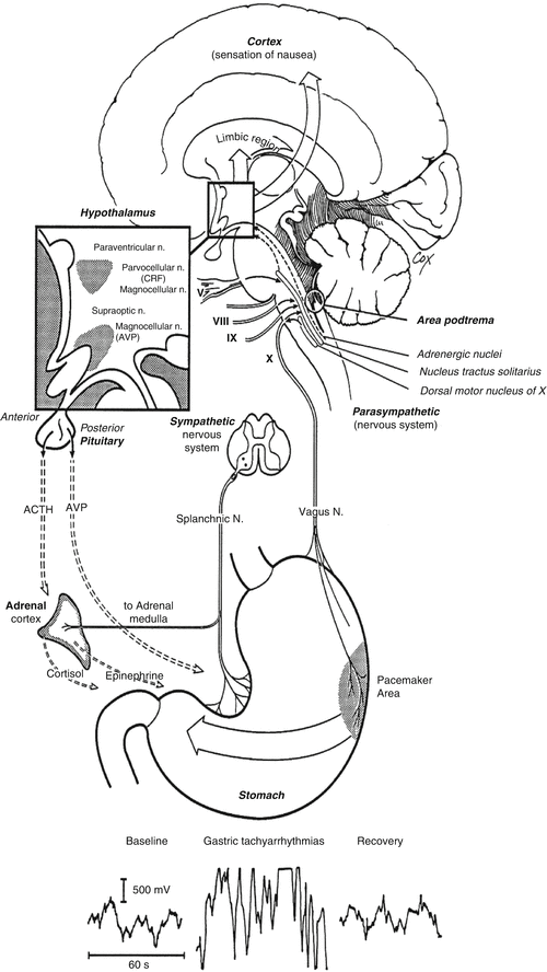 Physiology of Nausea Abdominal Key