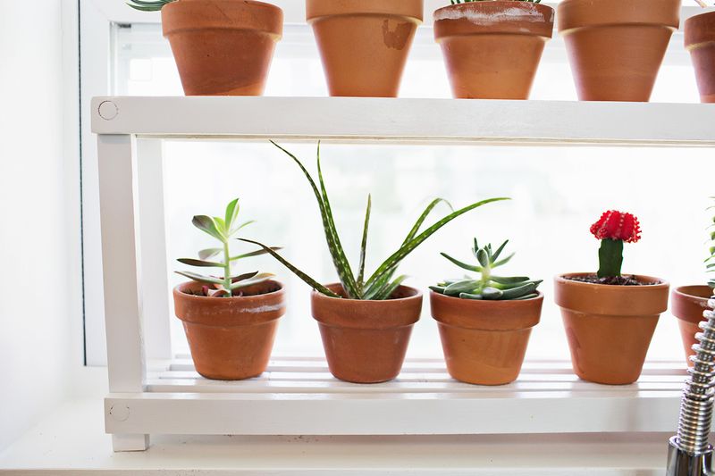 Hanging gardens give you the chance to put color right where you want it, p. Window Ledge Plant Shelf A Beautiful Mess