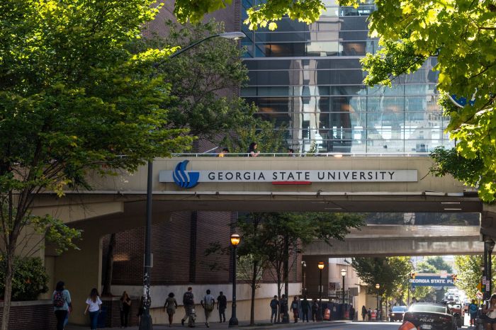 Gsu paws