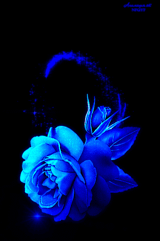 Le Gif Di Fiori Bellissimi Mazzi Boccioli Di Fiori