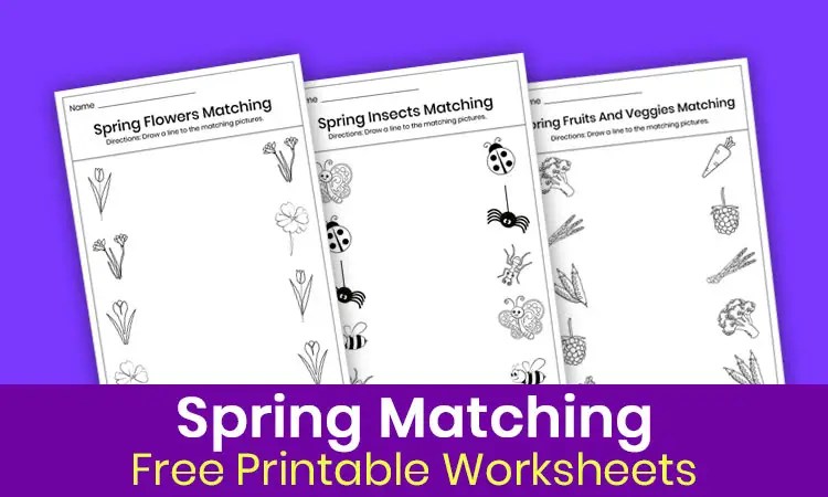 In this worksheet, kids will match the insects that they see in the spring seasons. Fall Matching Worksheets Active Little Kids