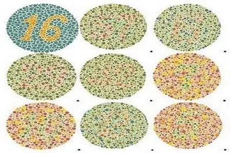 Seseorang yang menderita buta warna akan sulit membedakan warna tertentu. Color Blind Test Menu