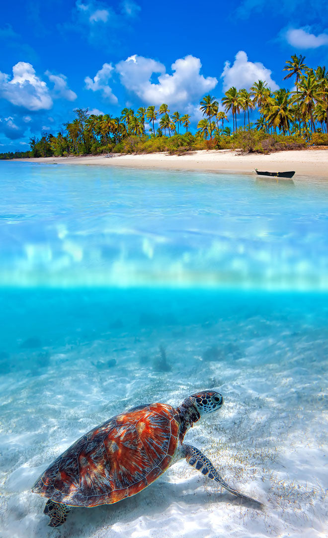 The zanzibar archipelago, located in the indian ocean 15 miles off the coast of tanzania, is a breathtaking spot to escape from the world. Voyage Zanzibar Eco Tourisme Responsable Fairmoove