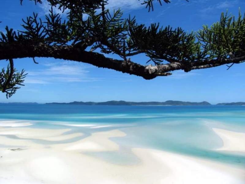 Stroll along the beach, dive in for a swim and let the beauty of the beach rub off on you. Whitehaven Beach Beach Travel Whitehaven Beach Beach Vacations Travel Beach