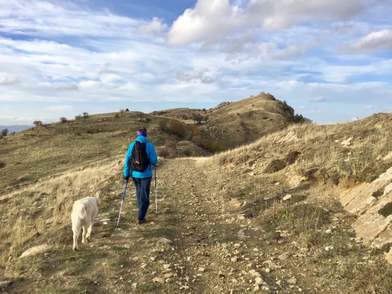 Things to do in Castelmezzano Basilicata Hike Adriana Licio