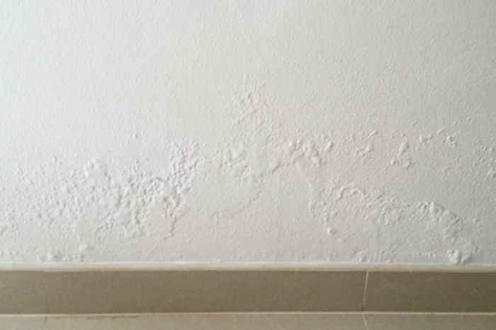 Solusi tembok lembab