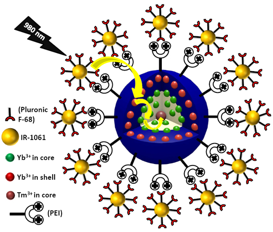 Enhanced NIR-I Emission from Broadband Water-Dispersible NIR-II Dye ...