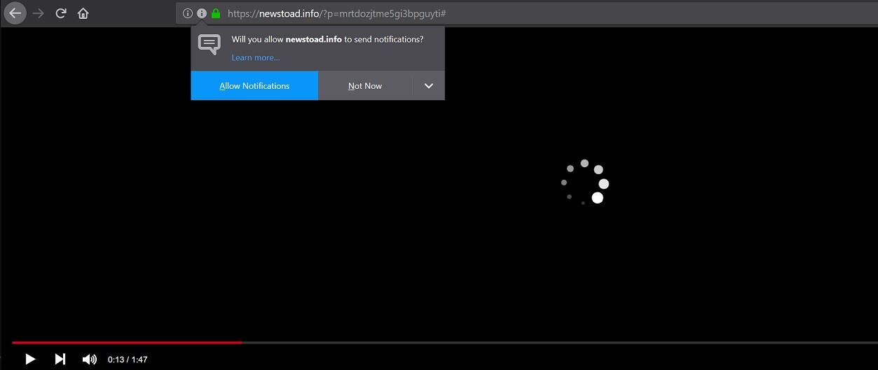 What is Newstoad.info?
