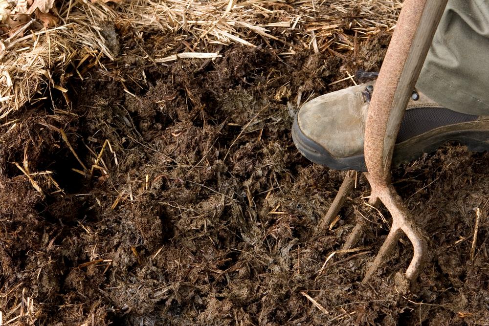 Read on to learn more about sa. How To Grow Grass In Clay Soil In 5 Simple Steps