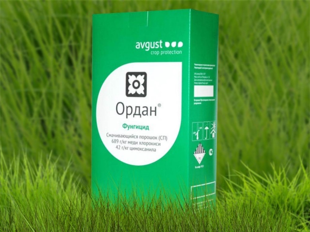 Как и чем проливать почву от фитофторы. Осенняя обработка почвы от фитофторы: что использовать, и как спасти зараженный
