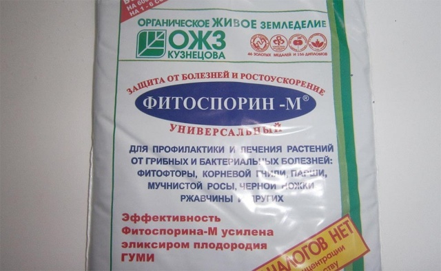 Уход за клубникой с августа по ноябрь: основные мероприятия перед укрытие…
