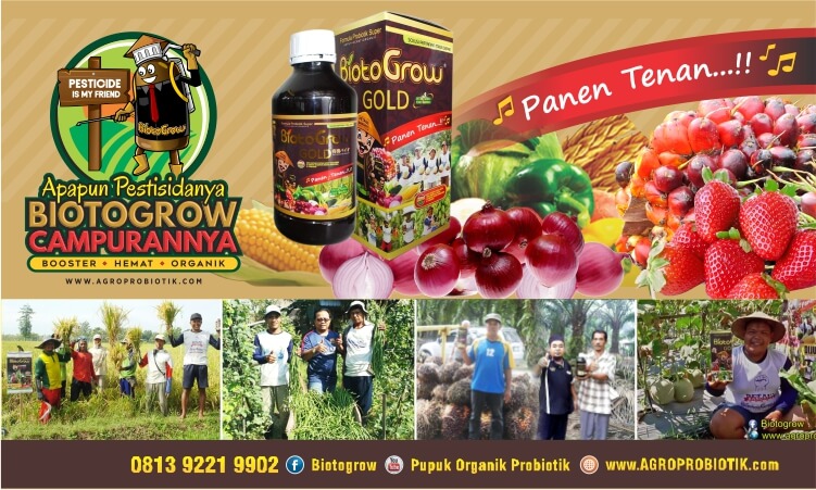 26/02/2021 · pupuk organic merupakan pupuk dengan batas pupuk yang sebagian ataupun seluruhnya terdiri dari bahan oganik tanaman ataupun heewa yamg sudah megalami prses rekayasa bisa berupa padat ataupun cair yang digunakan untuk meyediakan hara tumbuhan dan bisa memperbaiki sifat fisika, kimia serta biologi tanah potensi itu yag tidak dimiliki oleh pupuk … Keunggulan Pupuk Cair Hayati Biotogrow Agroprobiotik Pertanian Peternakan 0813 9260 5007