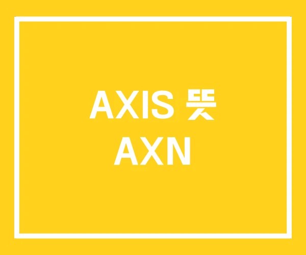 AXIS 뜻 AXN