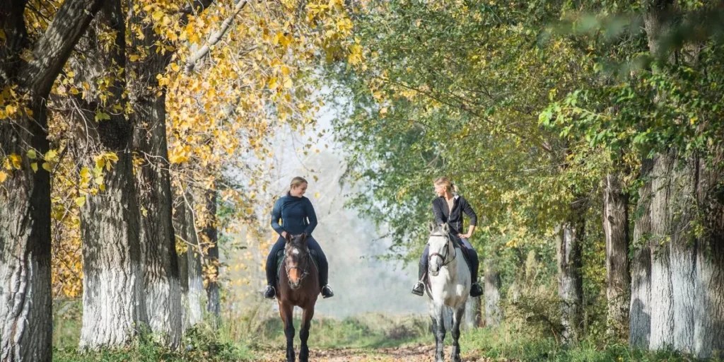 Portable Water Solutions for Traveling With Horses Portable Water Solutions for Traveling With Horses