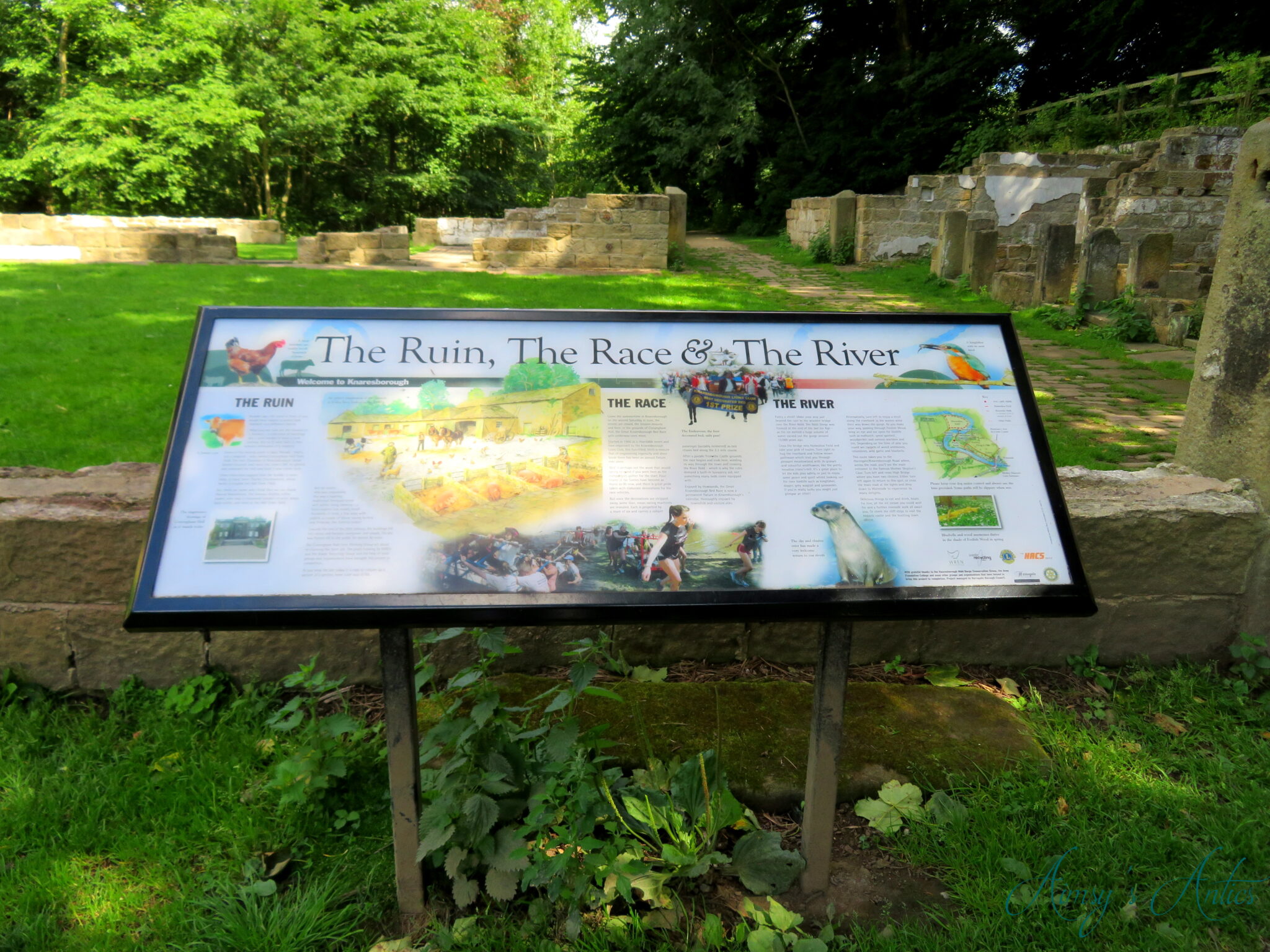 Sign of the ruins in Knaresborough