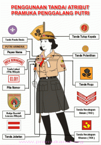 Materi Pemasangan Atribut Pramuka Siaga Putra - Blog Materi Pramuka