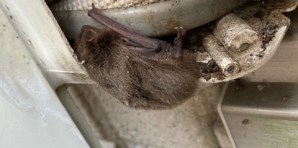 安佐北区1軒家エアコン取り外し処分回収
