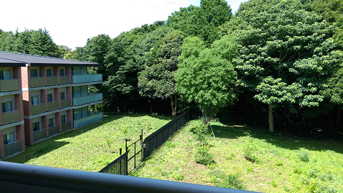 日本留學雜談#6 國際文化體驗「合宿生活」