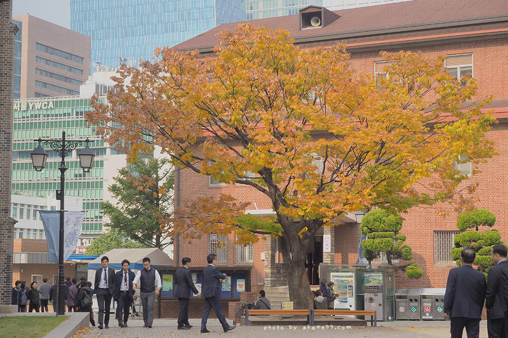韓國首爾連線日記 Day2-明洞 明洞聖堂 廣藏市場 東大門