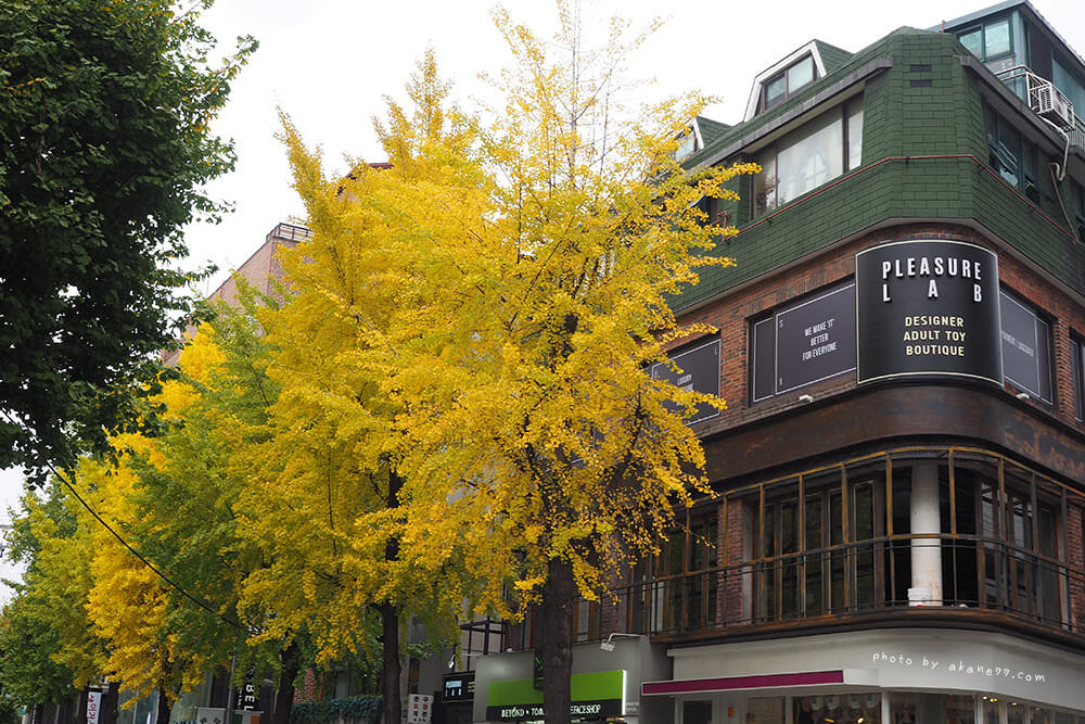 韓國首爾連線日記 Day4-土俗村人蔘雞 新沙洞林蔭道