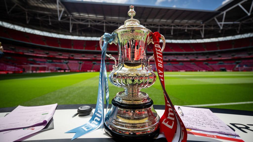 Link Live Streaming Final Piala FA: Crystal Palace Vs Manchester City