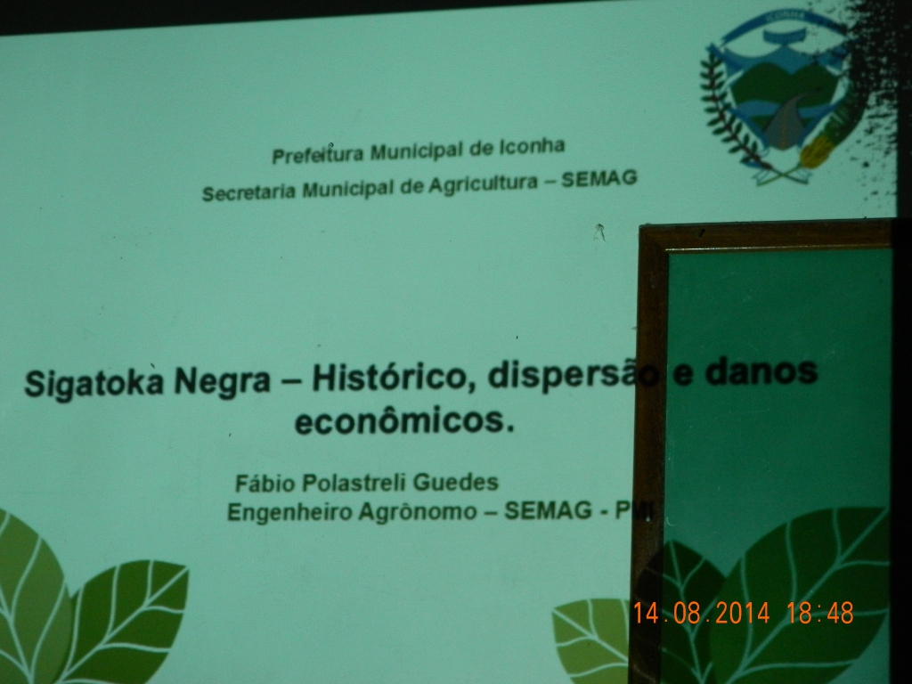 Reuniao Tecnica Para A Abordagem Da Sigatoka Negra No Municipio De Iconha Es Meio Ambiente Sustentabilidade