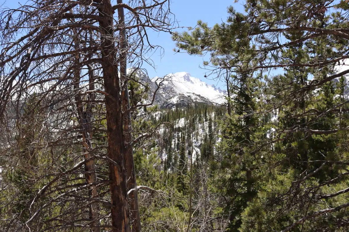 30 of the Absolute Best Places to Stay in Estes Park, CO | Alex on the Map