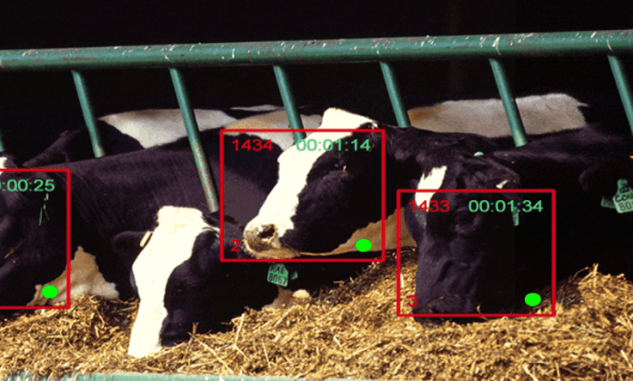 Cainthus have developed a computer vision and predictive image analysis system that is able to identify an individual cow and its eating habits.