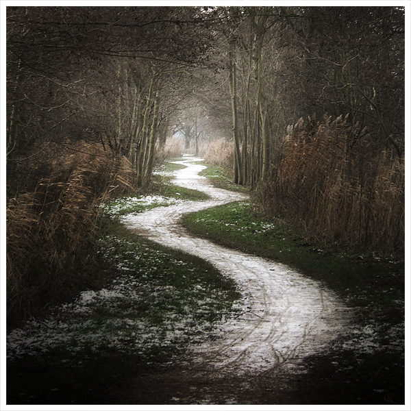 Browse 79,251 path forward stock photos and images available, or search for clear path forward or business path forward to find more great stock photos and pictures. The Path Of Leadership Alive At Work Joe Contrera