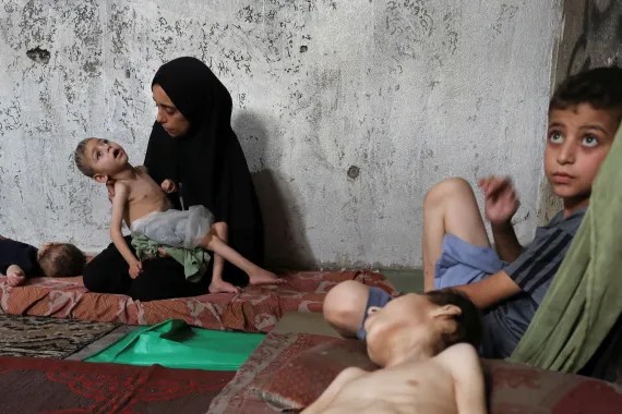 Six new deaths in the past 24 hours, due to famine