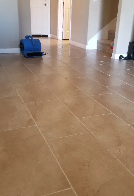 Discover carpet cleaning deals in and near san marcos, ca and save up to 70% off. Carpet Cleaning San Marcos Ramona All Elite Cfc