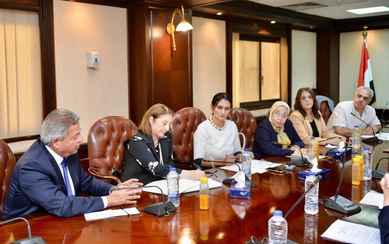 إيناس جوهر رئيسًا للجنة إعلام الخدمة العامة .. وعمرو خفاجي مقررًا