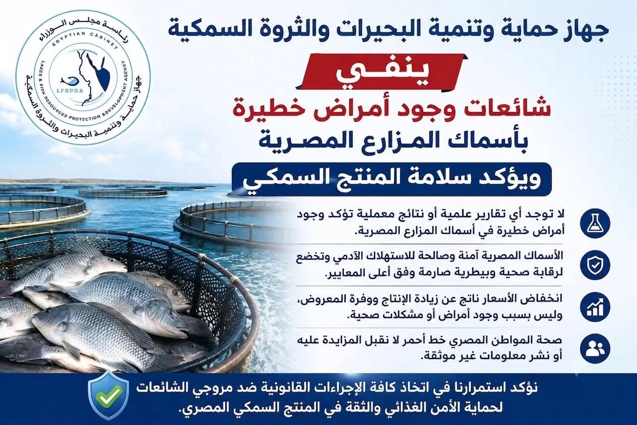 &ldquo;جهاز حماية وتنمية البحيرات والثروة السمكية&rdquo; ينفي شائعات وجود أمراض خطيرة بأسماك المزارع المصرية