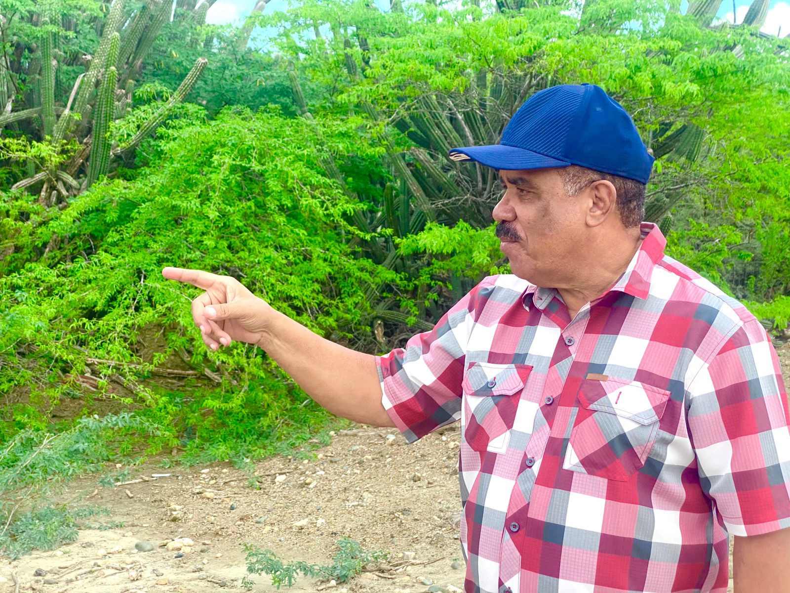 PLD resta credibilidad noticia sobre daños tormenta Melissa | AlMomento.net